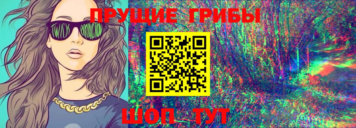 Среднеуральск  Галлюциногенные грибы Cubensis  Вход с VPN 