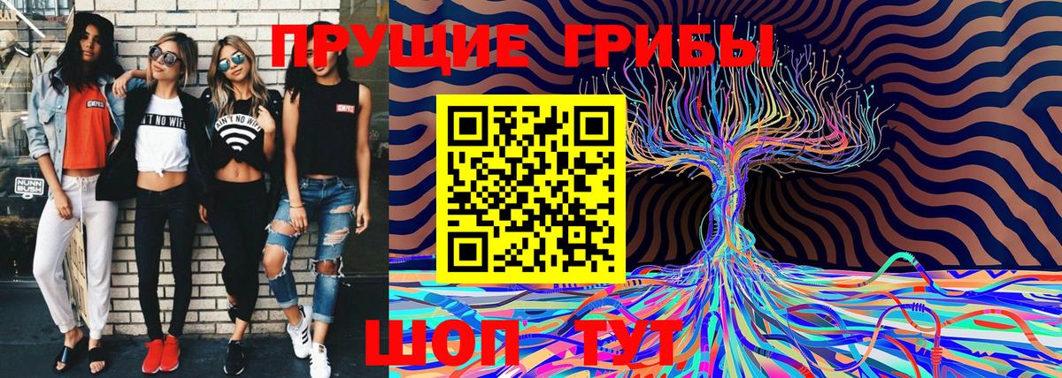 Галлюциногенные грибы Psilocybine cubensis Среднеуральск